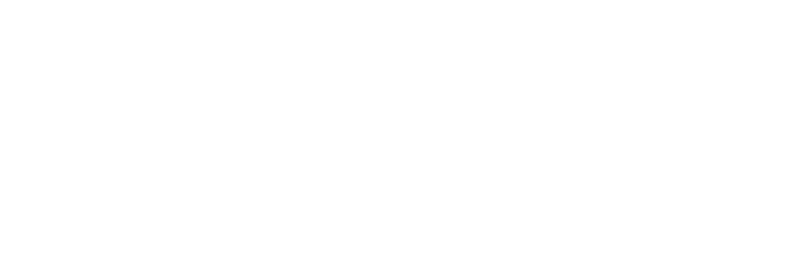 The Lyndon Company Logo